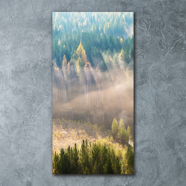 Quadro vetro acrilico verticale Nebbia sulla foresta