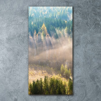 Quadro vetro acrilico verticale Nebbia sulla foresta