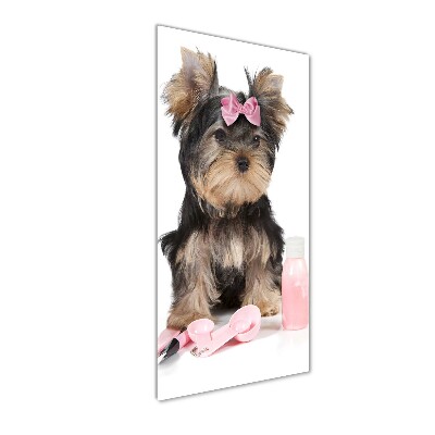 Quadro acrilico verticale Cosmetici dello Yorkshire