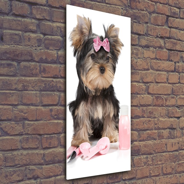 Quadro acrilico verticale Cosmetici dello Yorkshire