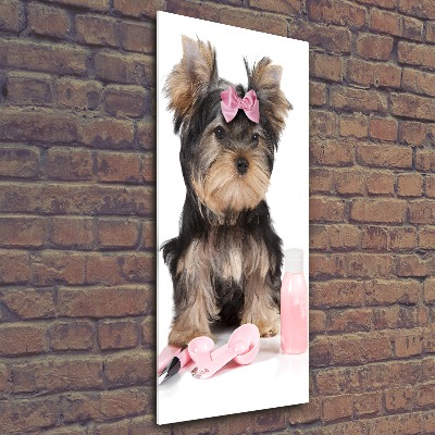 Quadro acrilico verticale Cosmetici dello Yorkshire