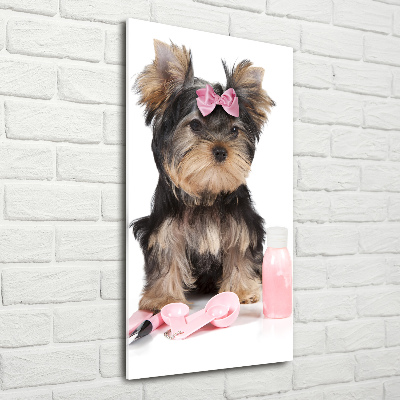 Quadro acrilico verticale Cosmetici dello Yorkshire