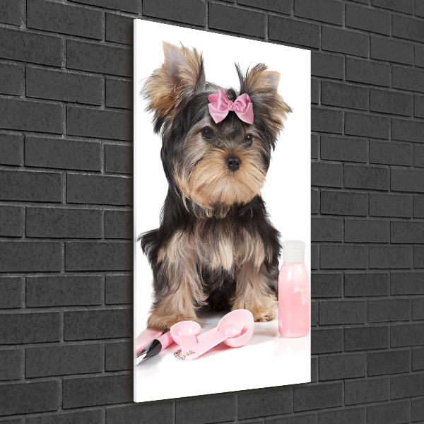 Quadro acrilico verticale Cosmetici dello Yorkshire