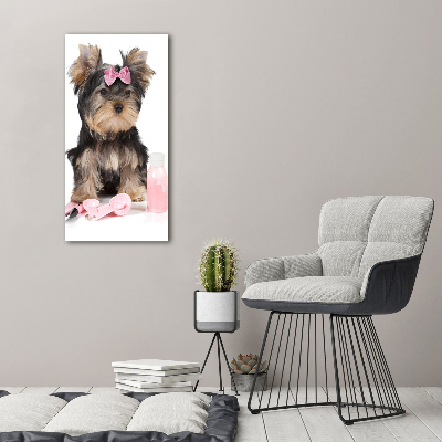 Quadro acrilico verticale Cosmetici dello Yorkshire