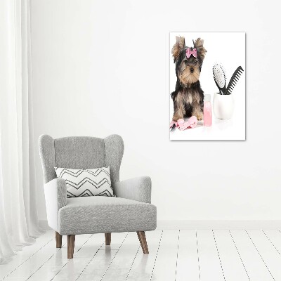 Quadro acrilico verticale Cosmetici dello Yorkshire