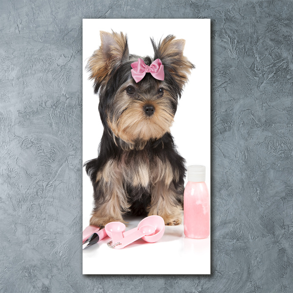 Quadro acrilico verticale Cosmetici dello Yorkshire