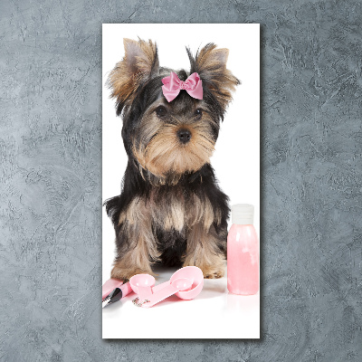 Quadro acrilico verticale Cosmetici dello Yorkshire