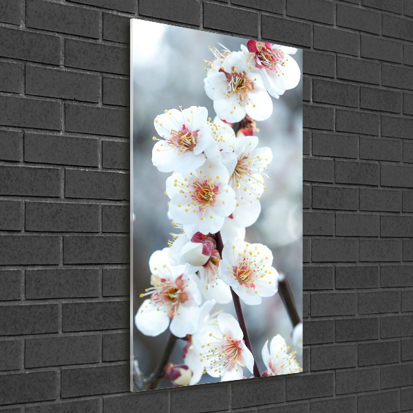 Quadro stampa su vetro acrilico verticale Fiori di ciliegio