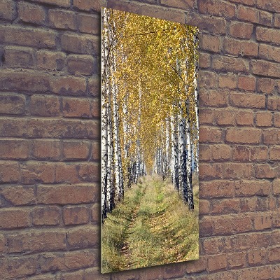 Quadro in vetro acrilico verticale Foresta di betulle