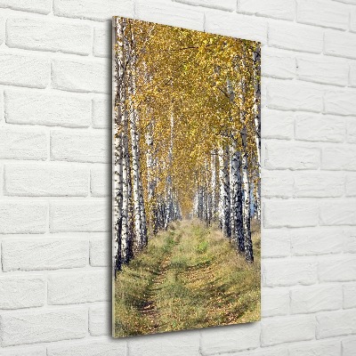 Quadro in vetro acrilico verticale Foresta di betulle