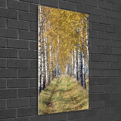 Quadro in vetro acrilico verticale Foresta di betulle