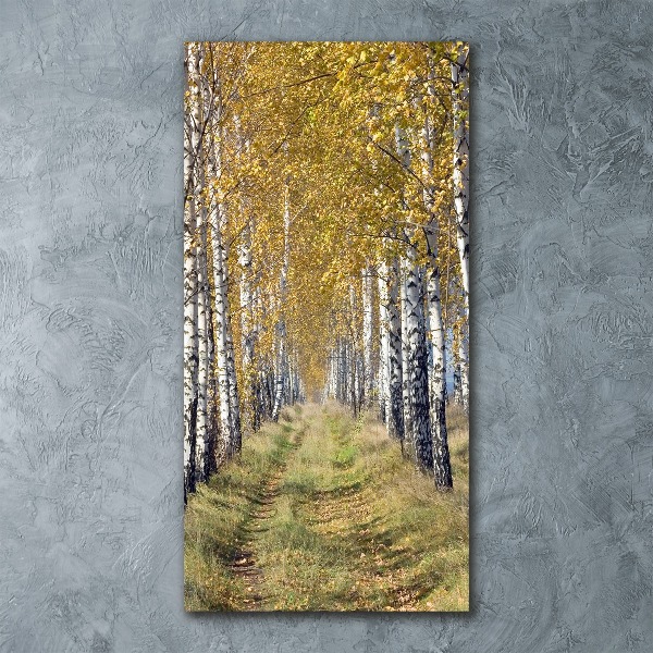 Quadro in vetro acrilico verticale Foresta di betulle