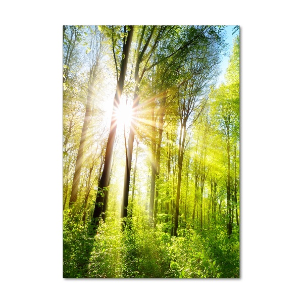 Quadro vetro acrilico verticale Il sole nella foresta