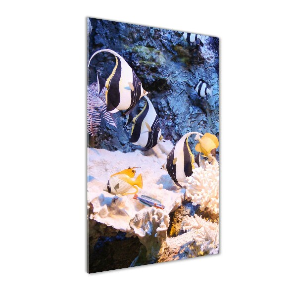 Quadro in vetro acrilico verticale Barriera corallina