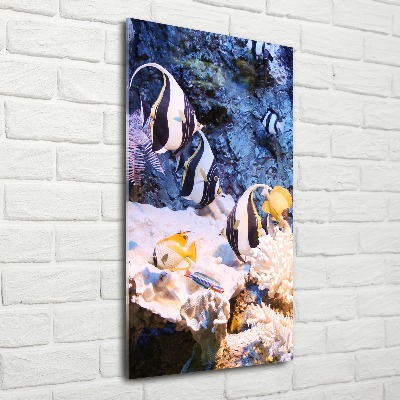 Quadro in vetro acrilico verticale Barriera corallina