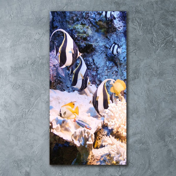 Quadro in vetro acrilico verticale Barriera corallina