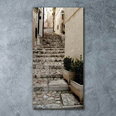 Quadro stampa su vetro acrilico verticale Una strada affascinante