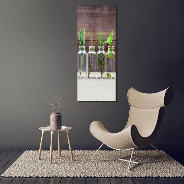 Quadro vetro acrilico verticale Erbe aromatiche in barattolo
