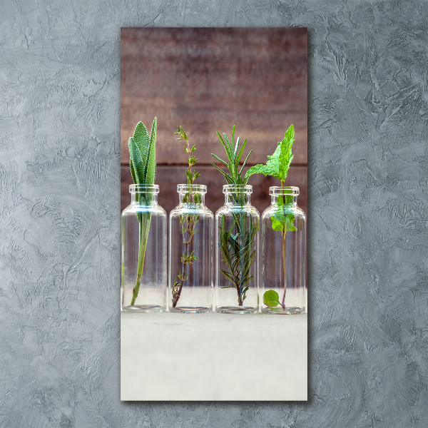 Quadro vetro acrilico verticale Erbe aromatiche in barattolo