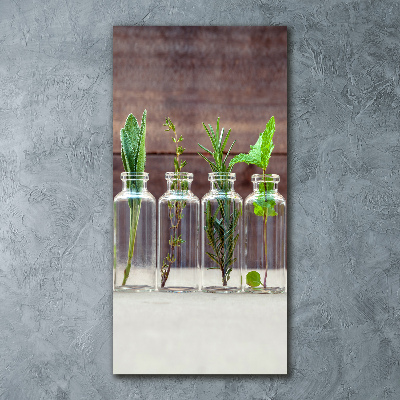 Quadro vetro acrilico verticale Erbe aromatiche in barattolo
