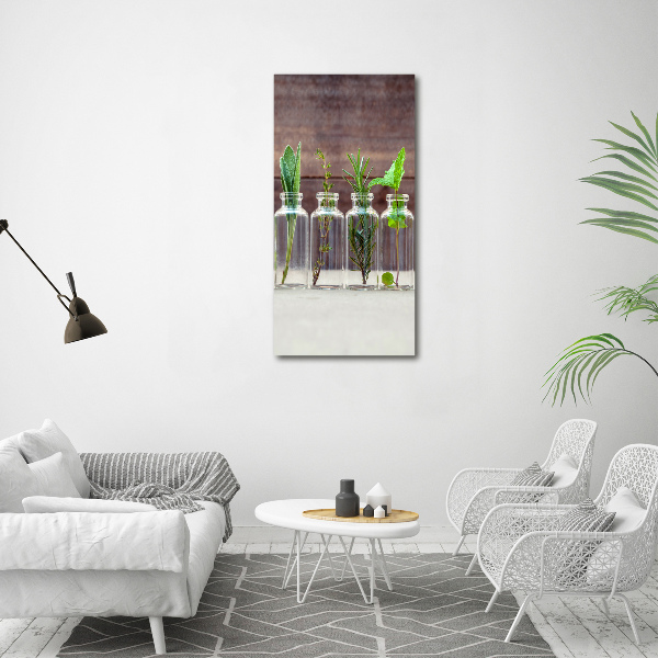 Quadro vetro acrilico verticale Erbe aromatiche in barattolo