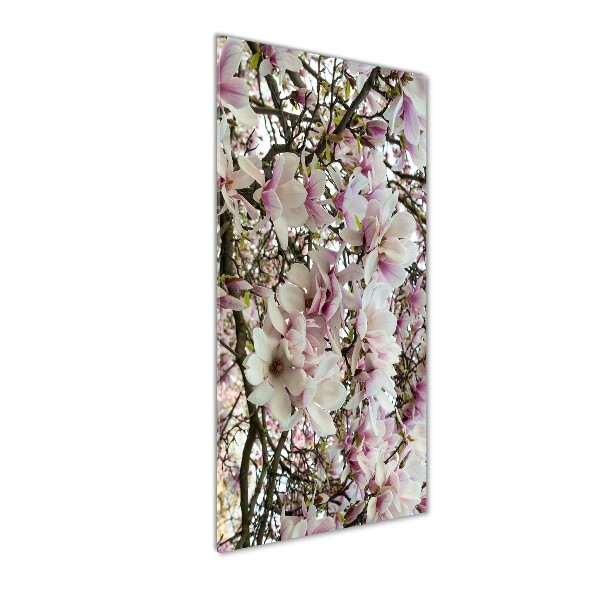Quadro stampa su vetro acrilico verticale Fiori di magnolia