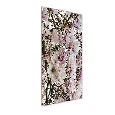 Quadro stampa su vetro acrilico verticale Fiori di magnolia