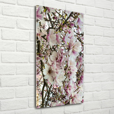 Quadro stampa su vetro acrilico verticale Fiori di magnolia