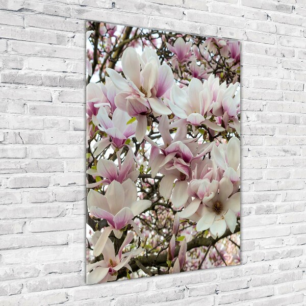 Quadro stampa su vetro acrilico verticale Fiori di magnolia