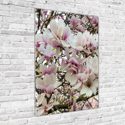 Quadro stampa su vetro acrilico verticale Fiori di magnolia