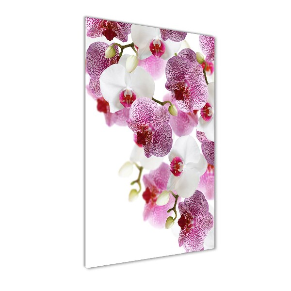 Quadro acrilico verticale Orchidea