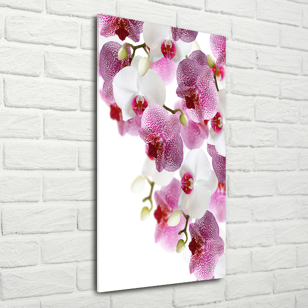 Quadro acrilico verticale Orchidea