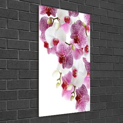 Quadro acrilico verticale Orchidea
