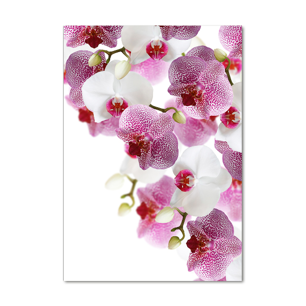 Quadro acrilico verticale Orchidea