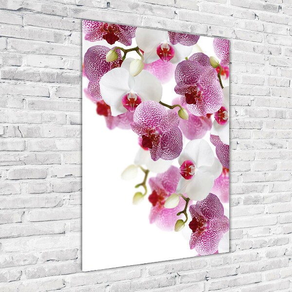 Quadro acrilico verticale Orchidea