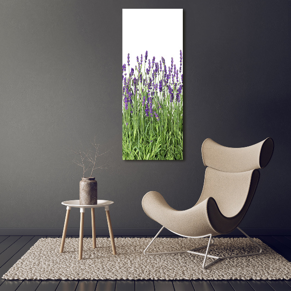 Quadro vetro acrilico verticale Campo di lavanda