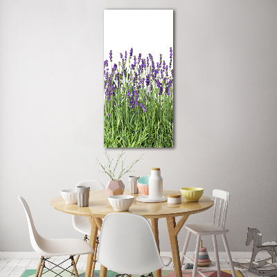 Quadro vetro acrilico verticale Campo di lavanda