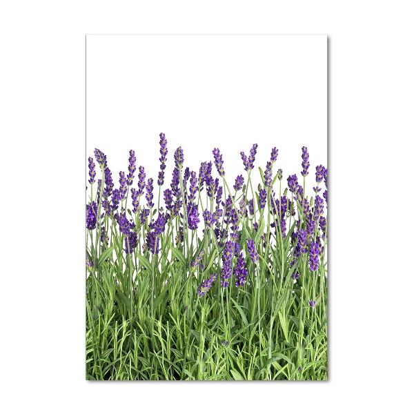 Quadro vetro acrilico verticale Campo di lavanda