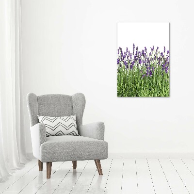 Quadro vetro acrilico verticale Campo di lavanda
