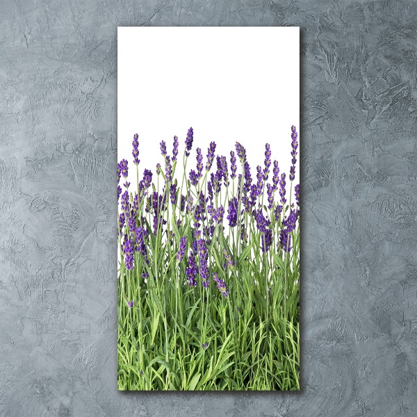 Quadro vetro acrilico verticale Campo di lavanda