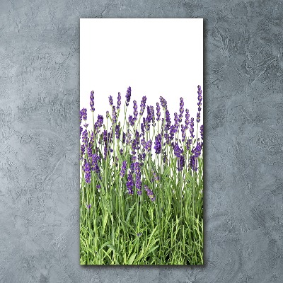 Quadro vetro acrilico verticale Campo di lavanda