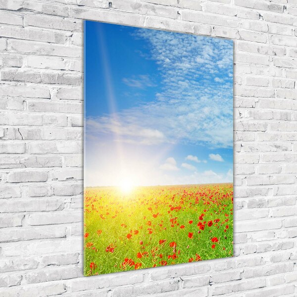 Quadro stampa su vetro acrilico verticale Campo di papaveri