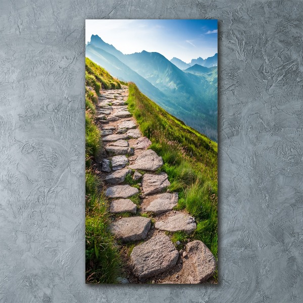 Quadro acrilico verticale Sentiero di montagna