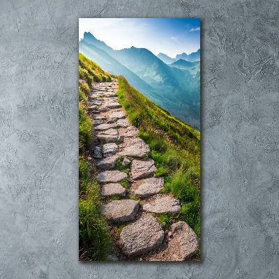 Quadro acrilico verticale Sentiero di montagna