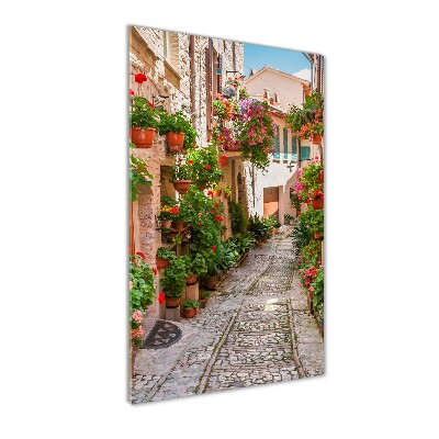 Quadro in vetro acrilico verticale Strade italiane