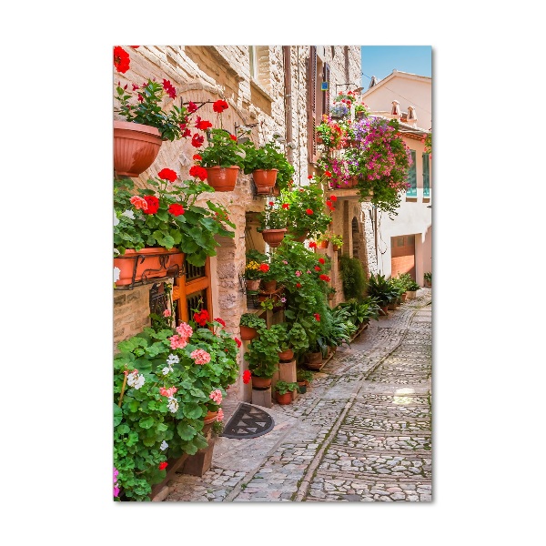 Quadro in vetro acrilico verticale Strade italiane