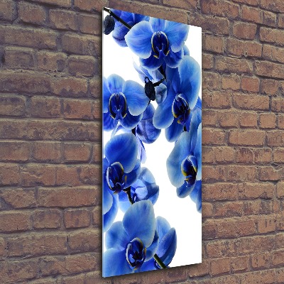 Quadro in vetro acrilico verticale Orchidea blu