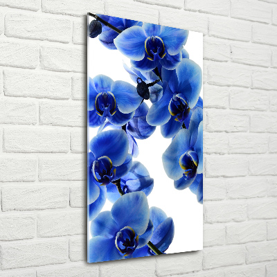 Quadro in vetro acrilico verticale Orchidea blu