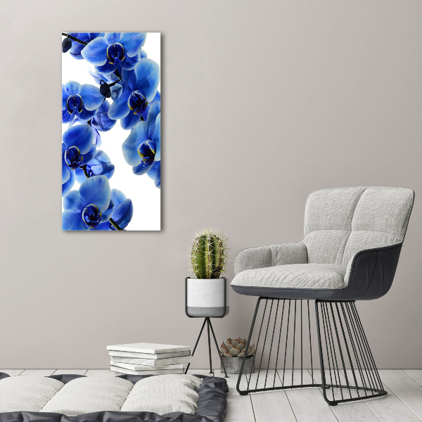 Quadro in vetro acrilico verticale Orchidea blu