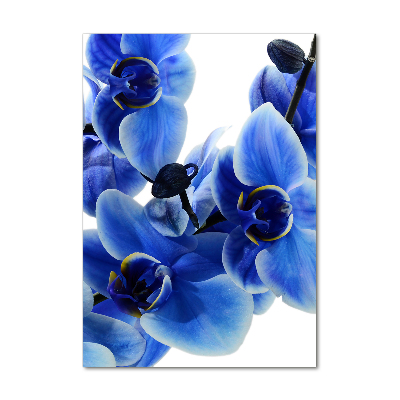Quadro in vetro acrilico verticale Orchidea blu